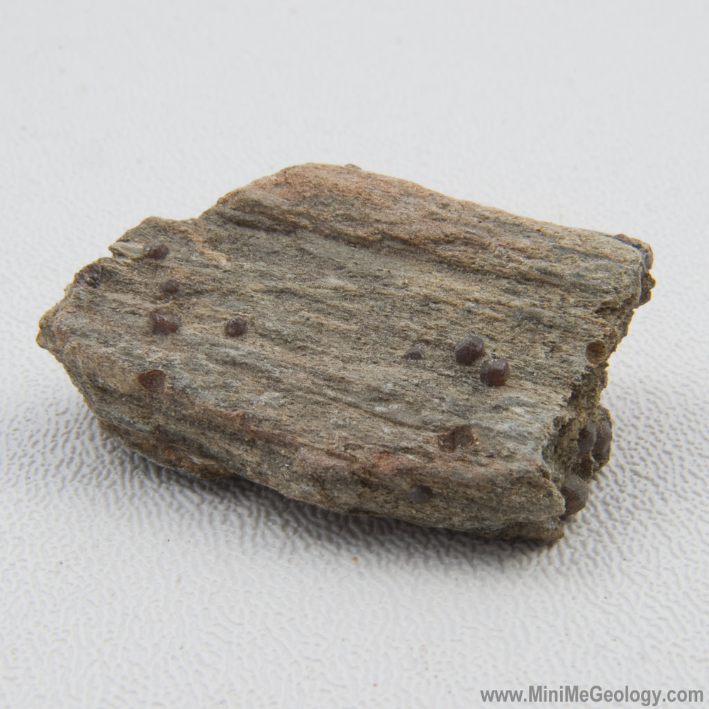 gift Besøg bedsteforældre Adskillelse Garnet Schist Metamorphic Rock - Mini Me Geology