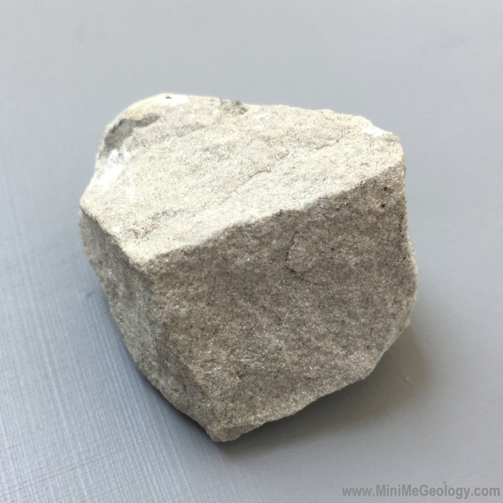White Gray Sandstone Sedimentary Rock - Mini Me Geology