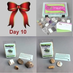 Image 10th Day: Deluxe Mineral Kit, Sand Dollar and Coral & Plant Fossils GeoBytes