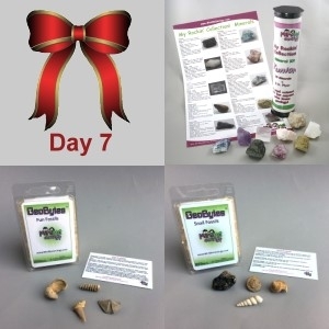 Image 7th Day: Junior Mineral Kit, Fun Fossils GeoBytes, & Snail Fossil GeoBytes