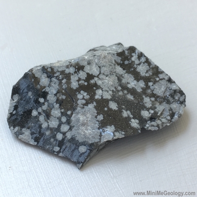 Snowflake Obsidian Igneous Rock - Mini Me Geology