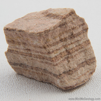 Banded Sandstone Sedimentary Rock - Mini Me Geology